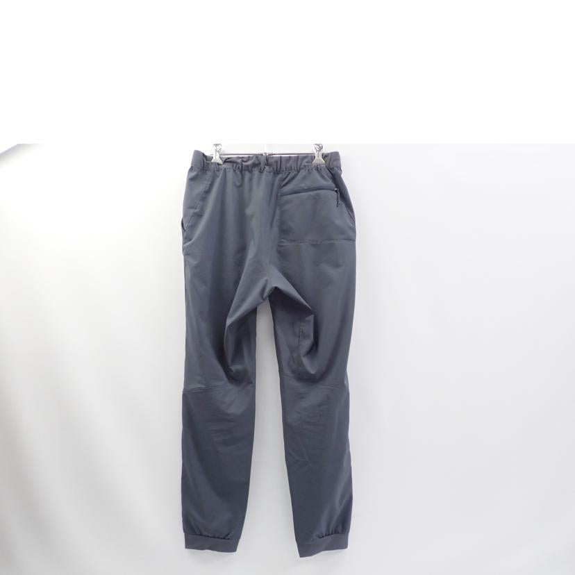 Patagonia Patagonia/★Patagonia　テルボンヌジョガーズパンツ/24540//S/BCランク/62