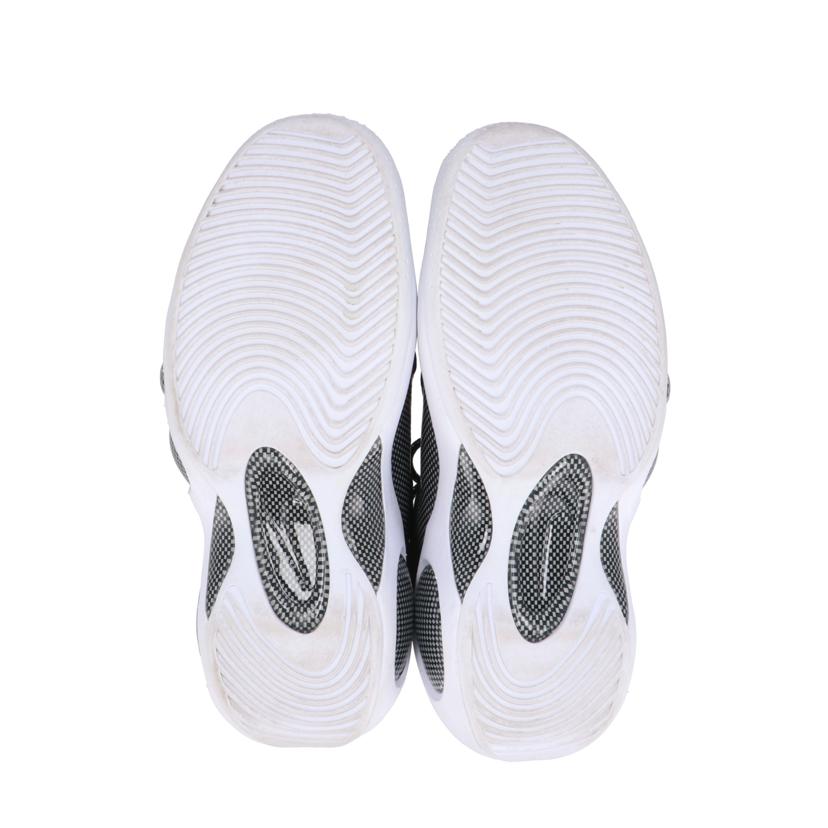 NIKE ナイキ/NIKE ZOOM FLIGTH 95//Aランク/64