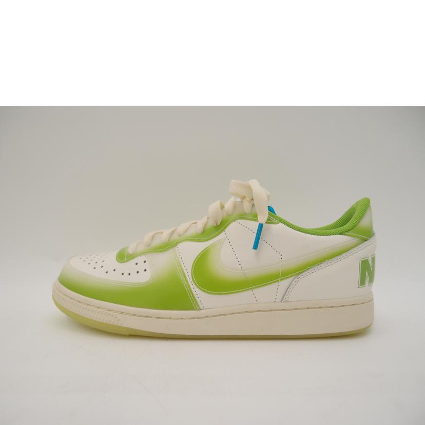 NIKE ﾅｲｷ/NIKE　ターミネーターロー/FN7651-133//Aランク/69