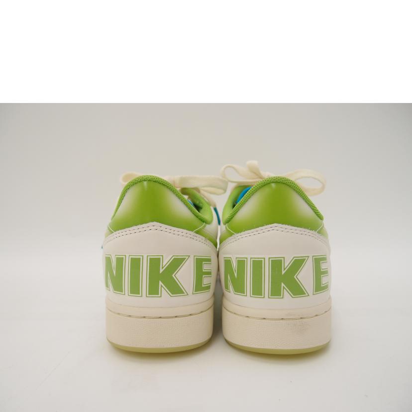 NIKE ﾅｲｷ/NIKE　ターミネーターロー/FN7651-133//Aランク/69