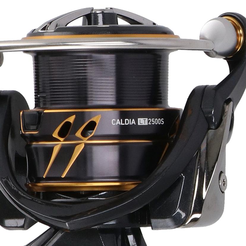 DAIWA ダイワ/21CALDIA LT2500S/LT2500S//Aランク/22