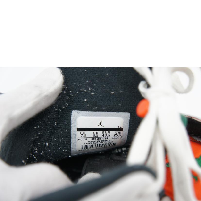 NIKE ナイキ/AIR JORDAN 6 RETRO オレンジ/384664 145//ABランク/42