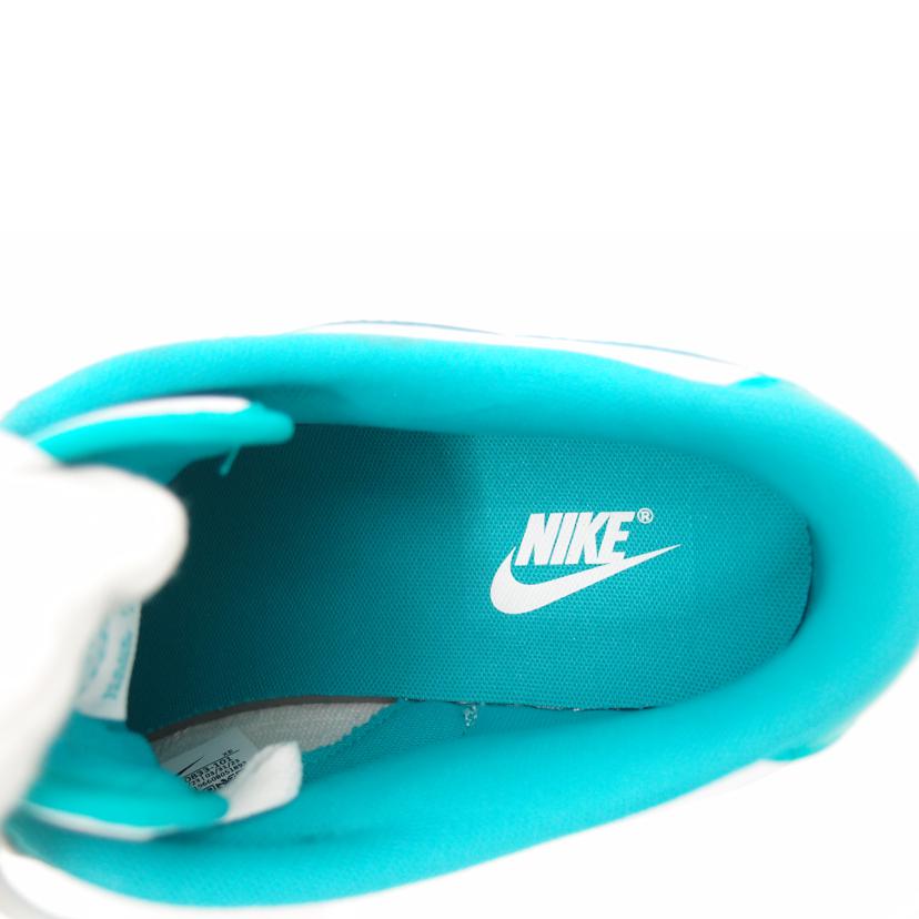 NIKE ﾅｲｷ/NIKE　DUNK　LOW/DV0833-101//Aランク/69