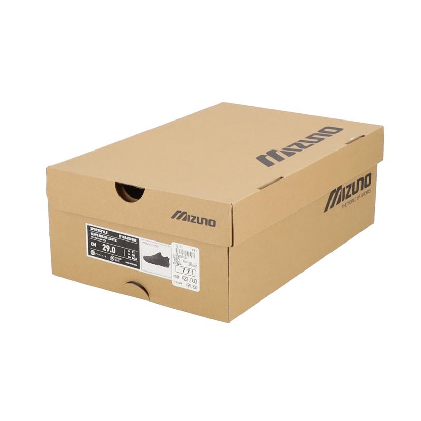 Mizuno ミズノ/ミズノ/ランニングシューズ/D1GA250102//ABランク/06