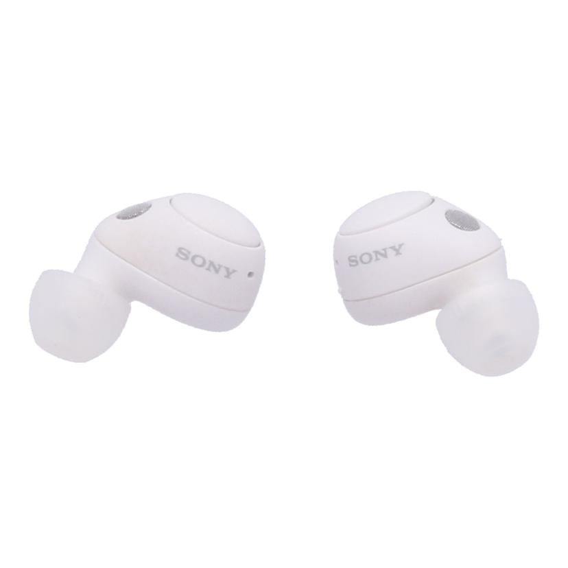 SONY　 ソニー　/ワイヤレスイヤホン/WF-C700N//S0120411150/Bランク/05