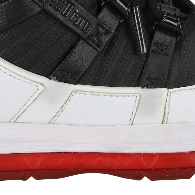 NIKE ナイキ/ZOOM　LEBRON3　QS/AO2434-101//ABランク/09