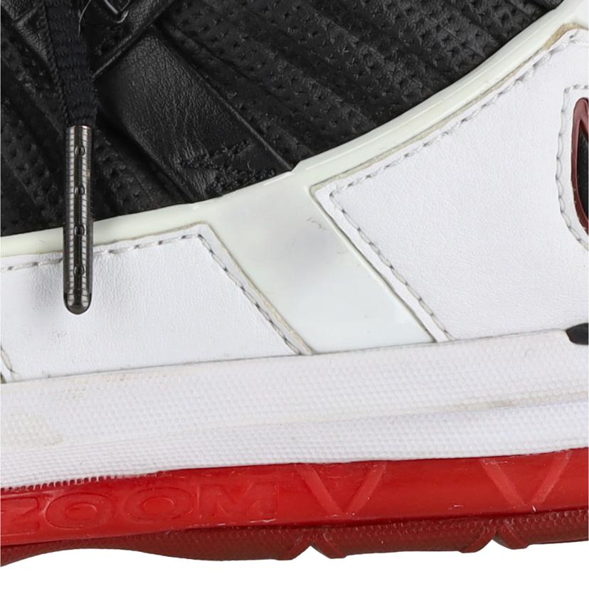 NIKE ナイキ/ZOOM　LEBRON3　QS/AO2434-101//ABランク/09