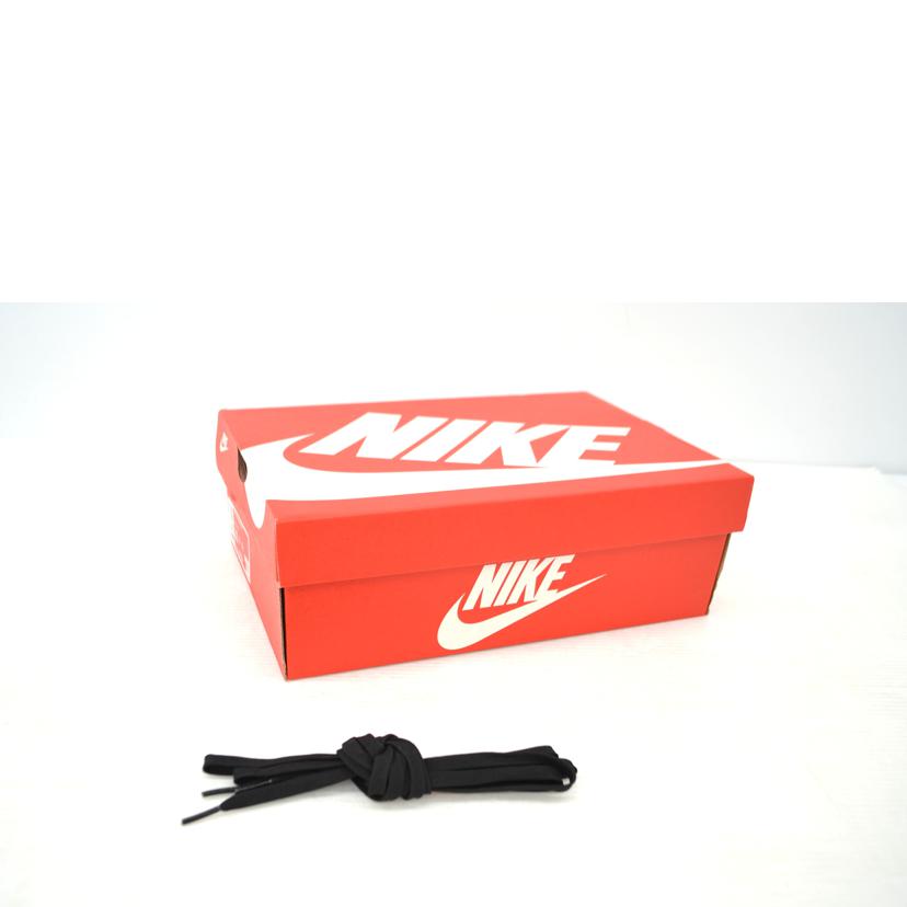 NIKE ナイキ/DUNK LOW/DD1391-100//ABランク/75