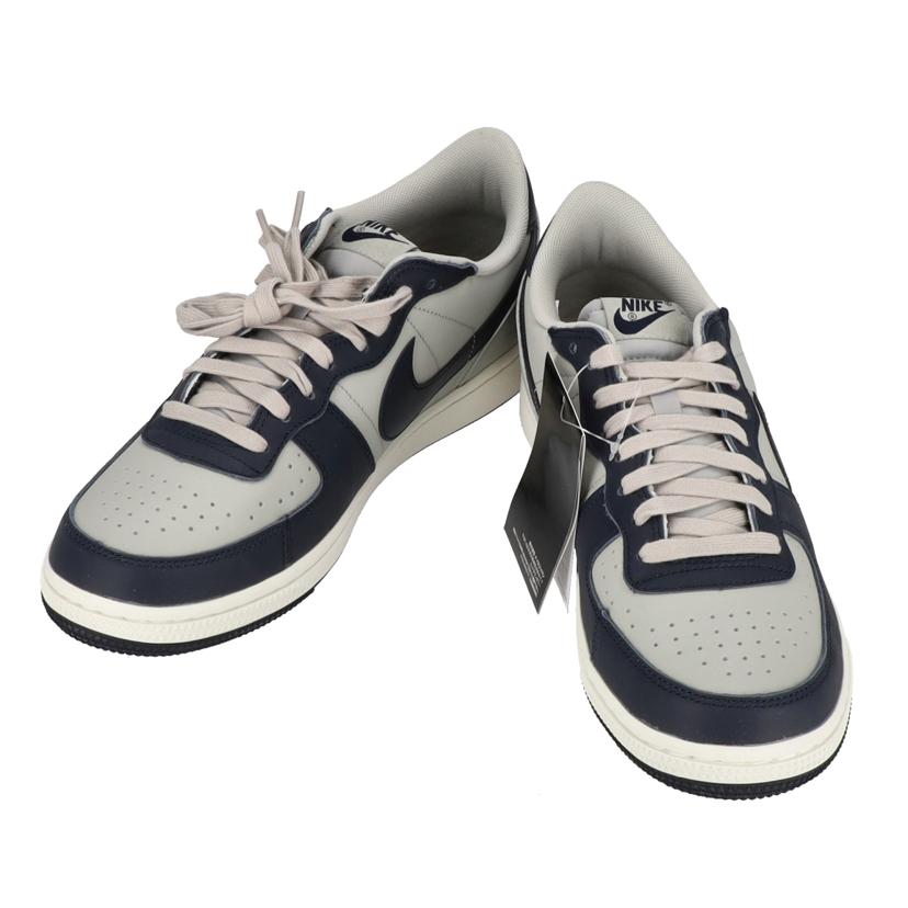 NIKE ナイキ/TARMINATOR　LOW/FN6830-001//Aランク/09