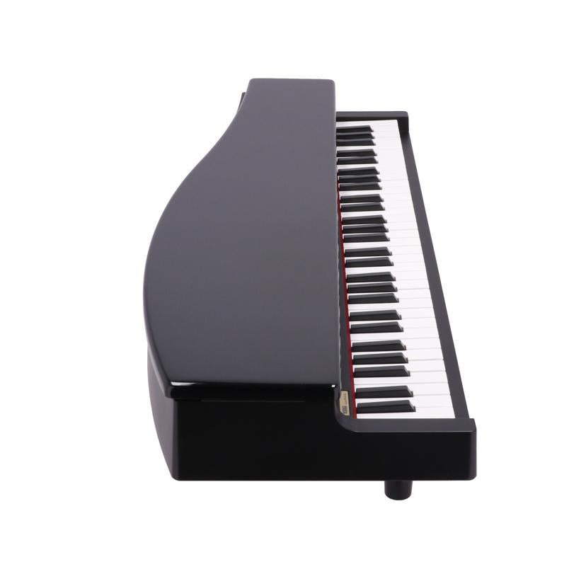 KORG コルグ/電子ピアノ　/microPIANO//034955/Bランク/62