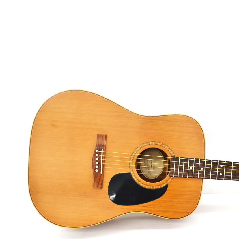 fender　 フェンダー /アコースティックギター/DG-25S//ABランク/75