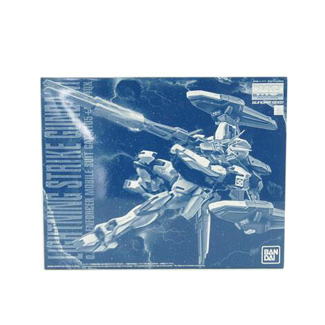 BANDAI バンダイ/MG ライトニングストライクガンダム Ver.RM//ABランク/42
