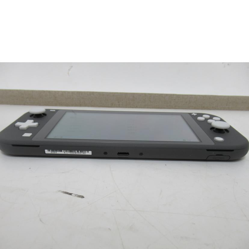 Nintendo/SwitchLite/HDH-S-GAZAA//SAランク/63
