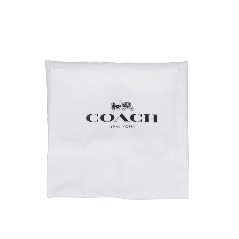 COACH コーチ/レザーバックパック/グレー/F30550//F19**/Aランク/78