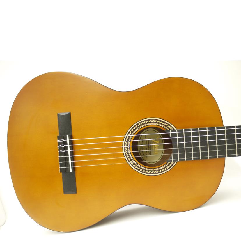 Valencia ヴァレンシア/アコースティックギター/VC204//477042/ABランク/69