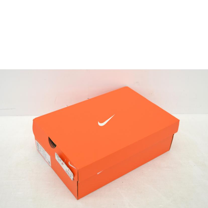 NIKE ナイキ/AIR　ZOOM　PEGASUS　41/FD2722-401//Sランク/75