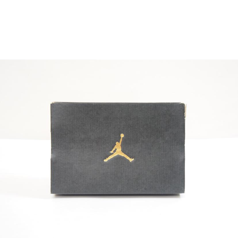 NIKE ナイキ/JORDAN　MID　/640735-044//Aランク/71
