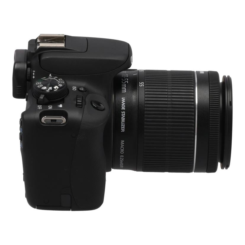 デジタル一眼 Canon 20090415132044_562_.jpg