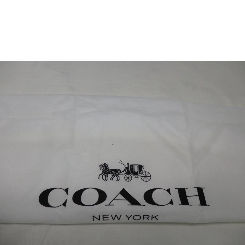 COACH コーチ/ウィロウ／サドルバッグ／水色/CA094//C22**/Aランク/84