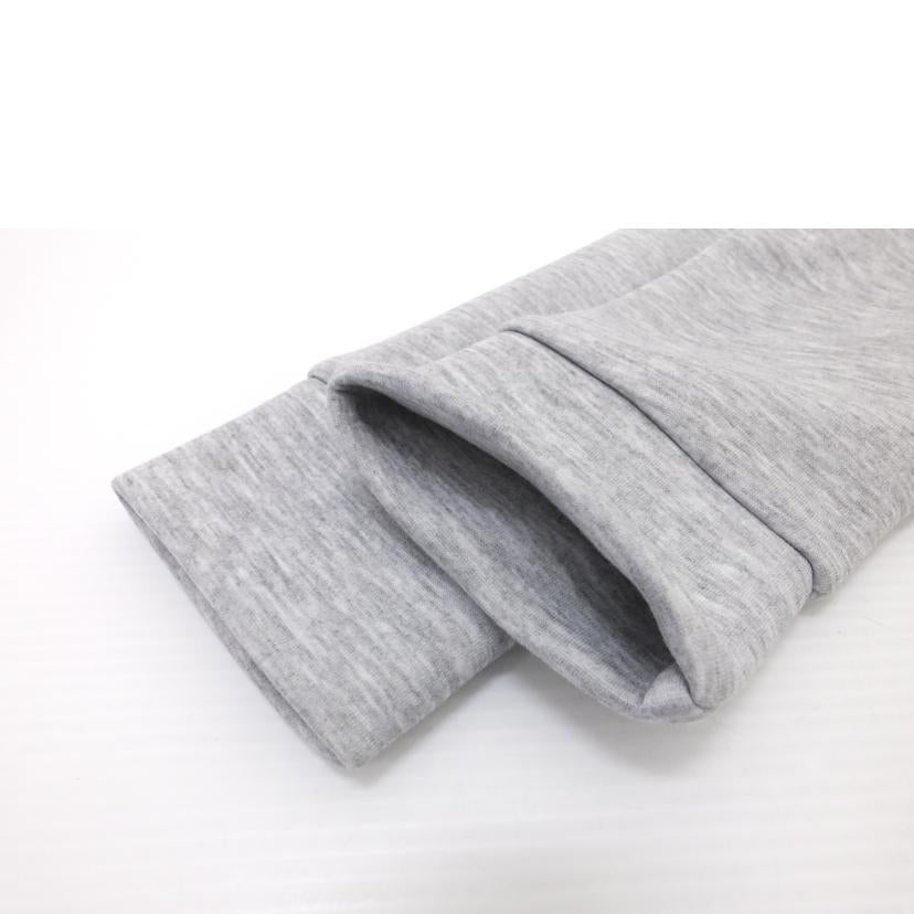 ＴＨＥ　ＮＯＲＴＨ　ＦＡＣＥ ザノースフェイス/テックエアースウェットフーディ/NT12285//ABランク/88