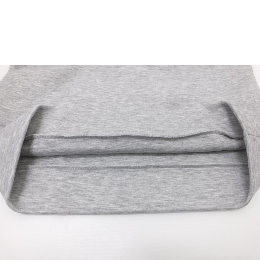 ＴＨＥ　ＮＯＲＴＨ　ＦＡＣＥ ザノースフェイス/テックエアースウェットフーディ/NT12285//ABランク/88