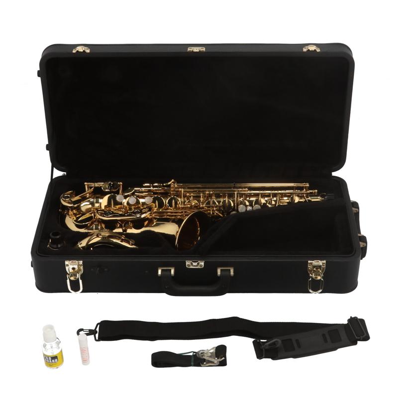 Yanagisawa ヤナギサワ/アルトサックス/A901//00235317/Bランク/76