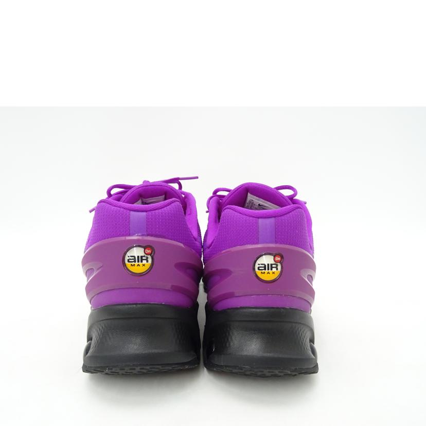 NIKE ナイキ/AIR　MAX　DN8/FQ7860-501//Aランク/69