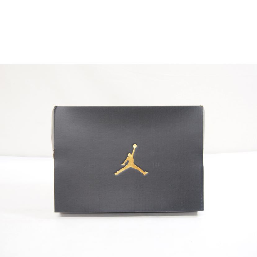 NKE ナイキ/NIKE AIRJORDAN 1MID エニグマストーン/DQ8426-003//Sランク/71