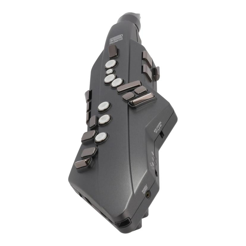 Roland ローランド /エアロフォン/Aerophone GO/AE-05//A6L6072/ABランク/05