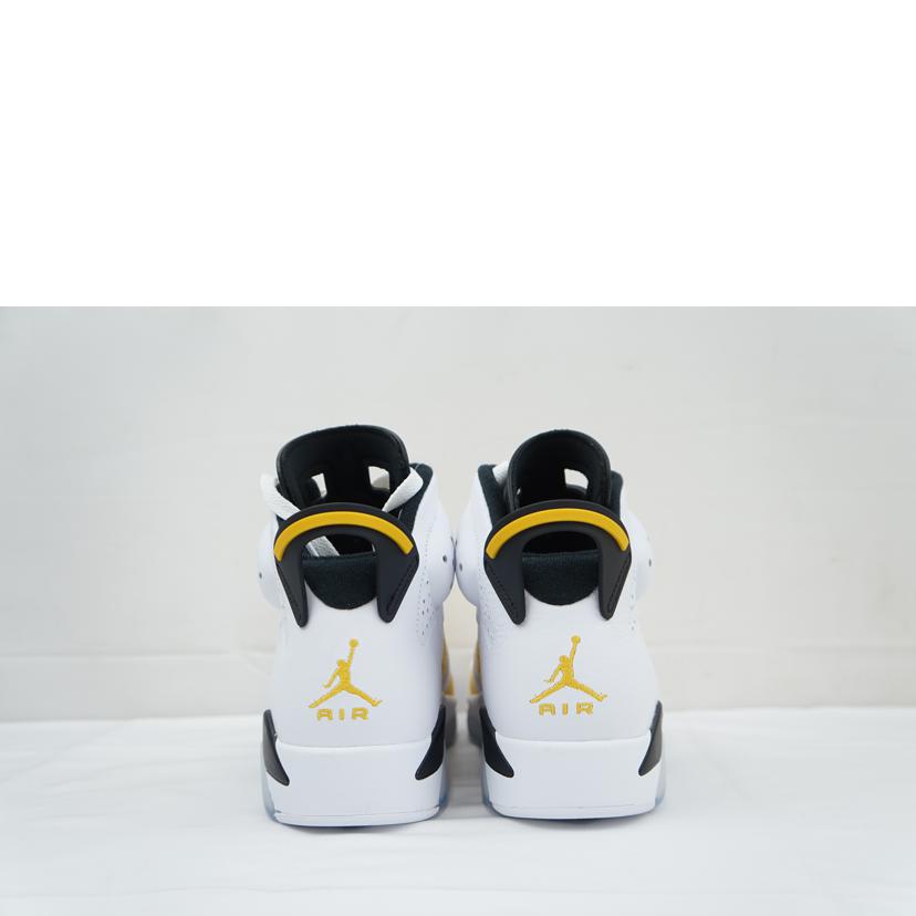 NIKE ナイキ/NIKE　AIR　JORDAN　6　RETRO　27．0/CT8529-170//Aランク/67