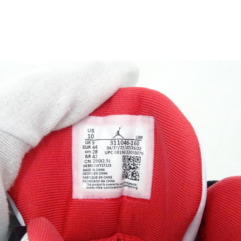 NIKE ナイキ/エアジョーダンDUBZERO/311046-160//Sランク/69