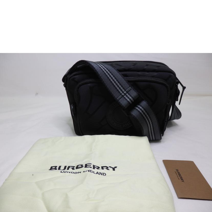 BURBERRY バーバリー/TB柄／パディ／ショルダーバッグ/8029989//Aランク/84