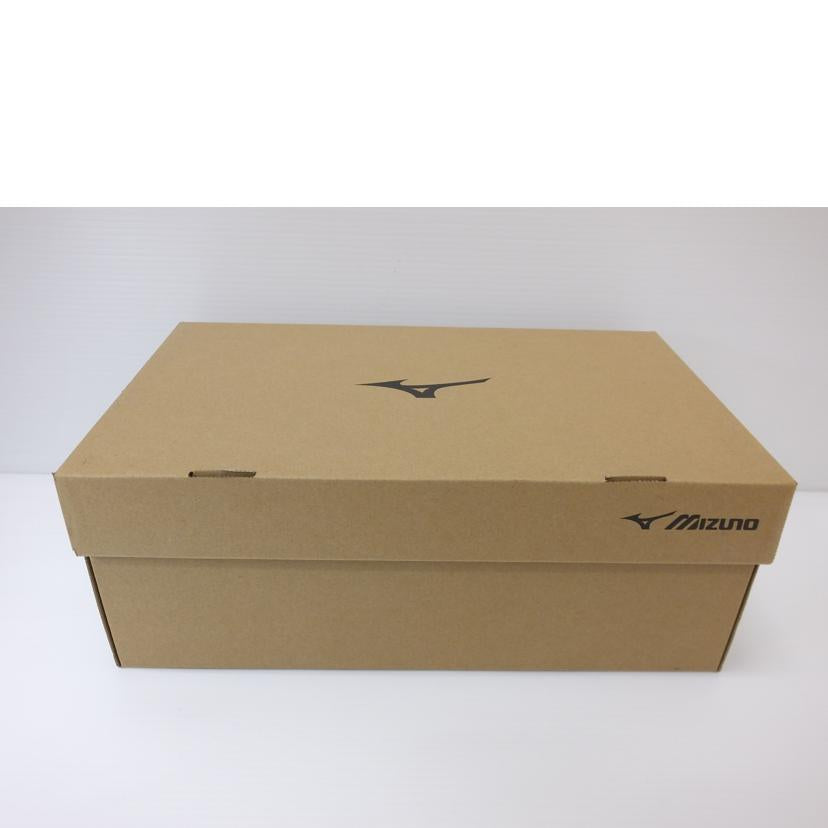 MIZUNO ミズノ/オールマイティ/F1GA210001//ABランク/88