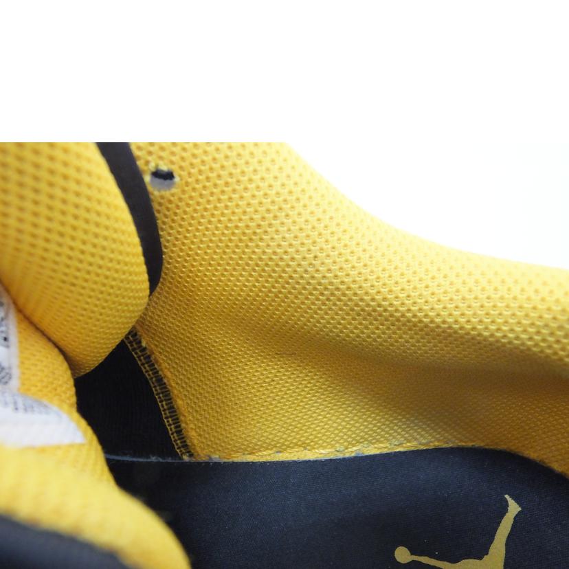 NIKE ﾅｲｷ/AIR　JORDAN　1LOW／29．0/553558-075//ABランク/88