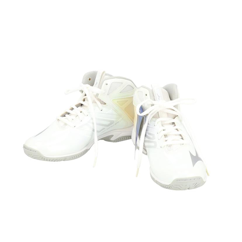 MIZUNO ミズノ/MIZUNO ウエーブダイバーズ 20th Ltd WH/K1GF207501//SAランク/78