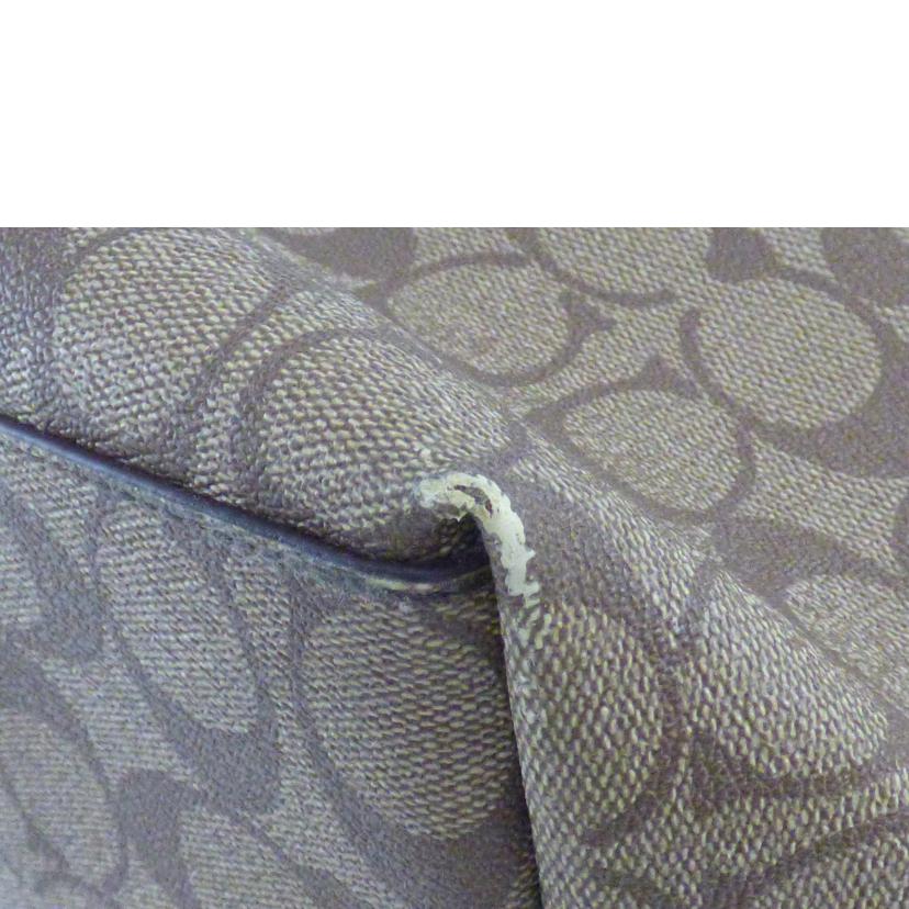 COACH コーチ/シグネシャー／トートバッグ／ベージュ／パープル/B36876//G16**/BCランク/64