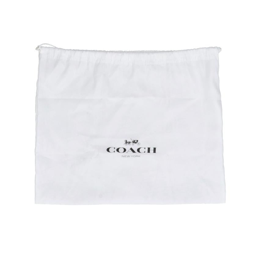 COACH コーチ/パーカーシグネチャーチェーンショルダー/53344//K18**/Aランク/24