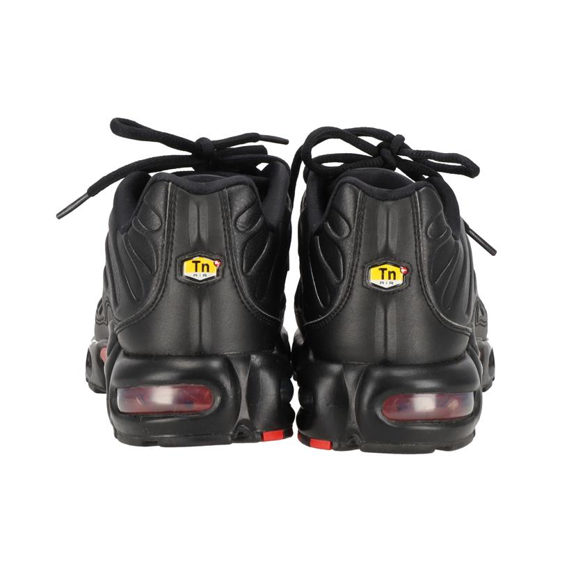 NIKE ナイキ/AIR　MAX　PLUS　PRM　Premium/FZ3038-001//Aランク/09