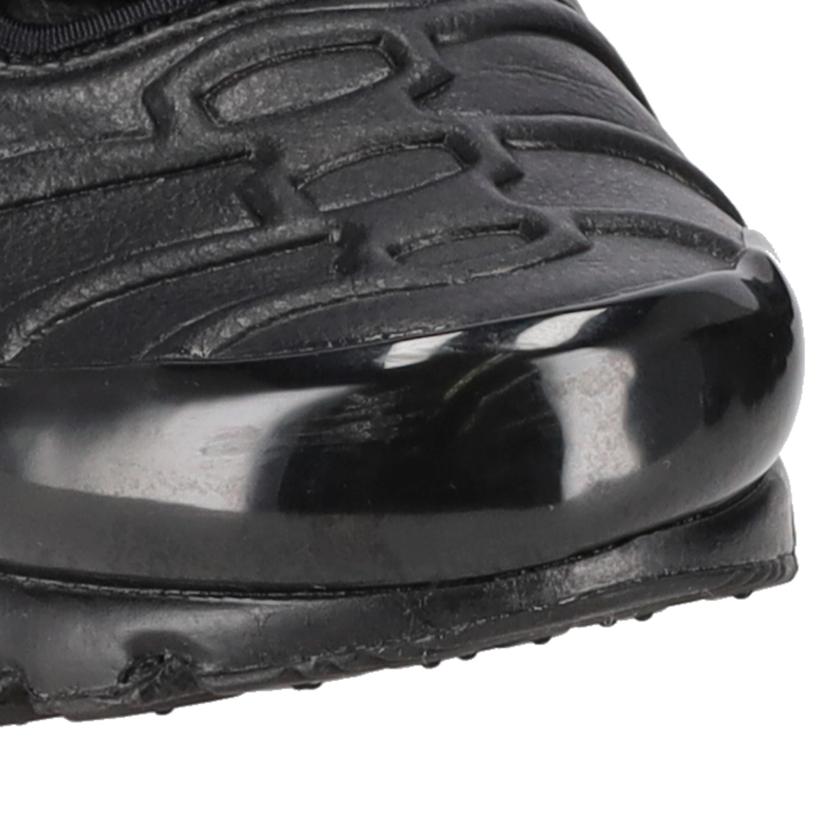 NIKE ナイキ/AIR　MAX　PLUS　PRM　Premium/FZ3038-001//Aランク/09