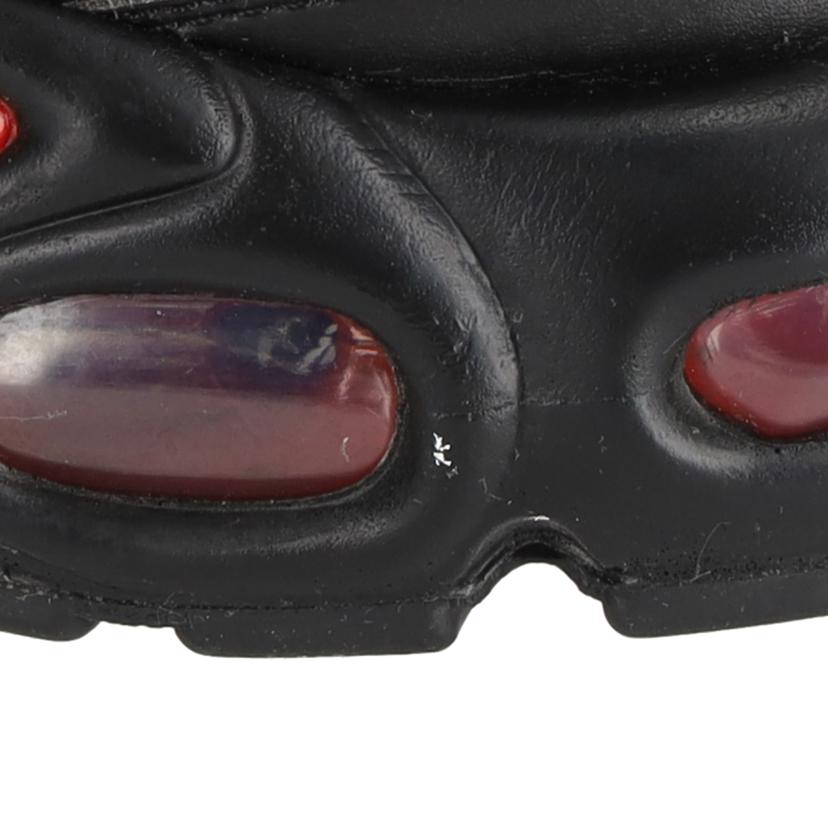NIKE ナイキ/AIR　MAX　PLUS　PRM　Premium/FZ3038-001//Aランク/09