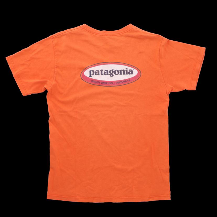 Patagonia パタゴニア/オーガニックコットンTシャツ／USA製／ヴィンテージ//ABランク/69