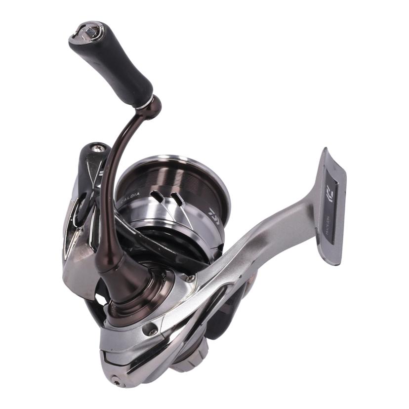 Daiwa ダイワ　/スピニングリール／18　カルディア/Caldia LT2500S//-/Bランク/62