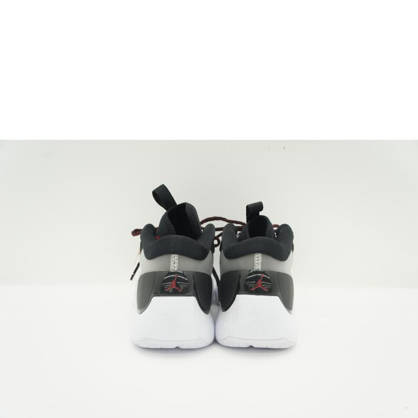 NIKE ナイキ/JORDAN　ZOOM　SEPARATE　PF/DH0248-001//Aランク/09