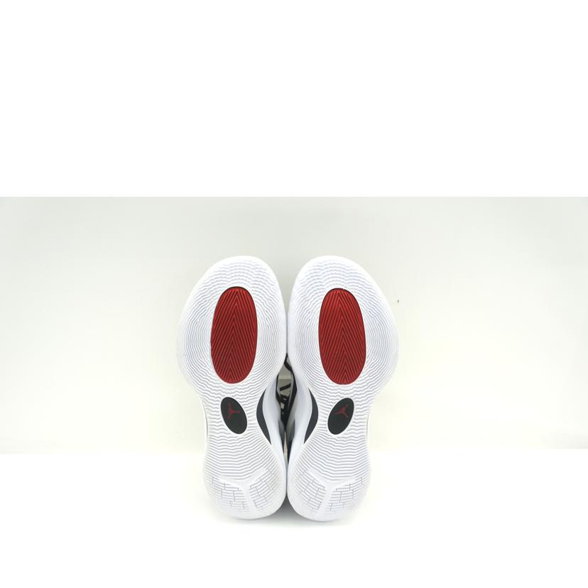 NIKE ナイキ/JORDAN　ZOOM　SEPARATE　PF/DH0248-001//Aランク/09