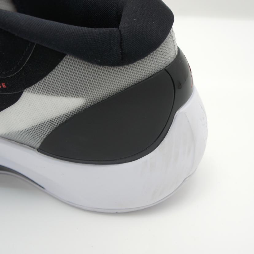 NIKE ナイキ/JORDAN　ZOOM　SEPARATE　PF/DH0248-001//Aランク/09