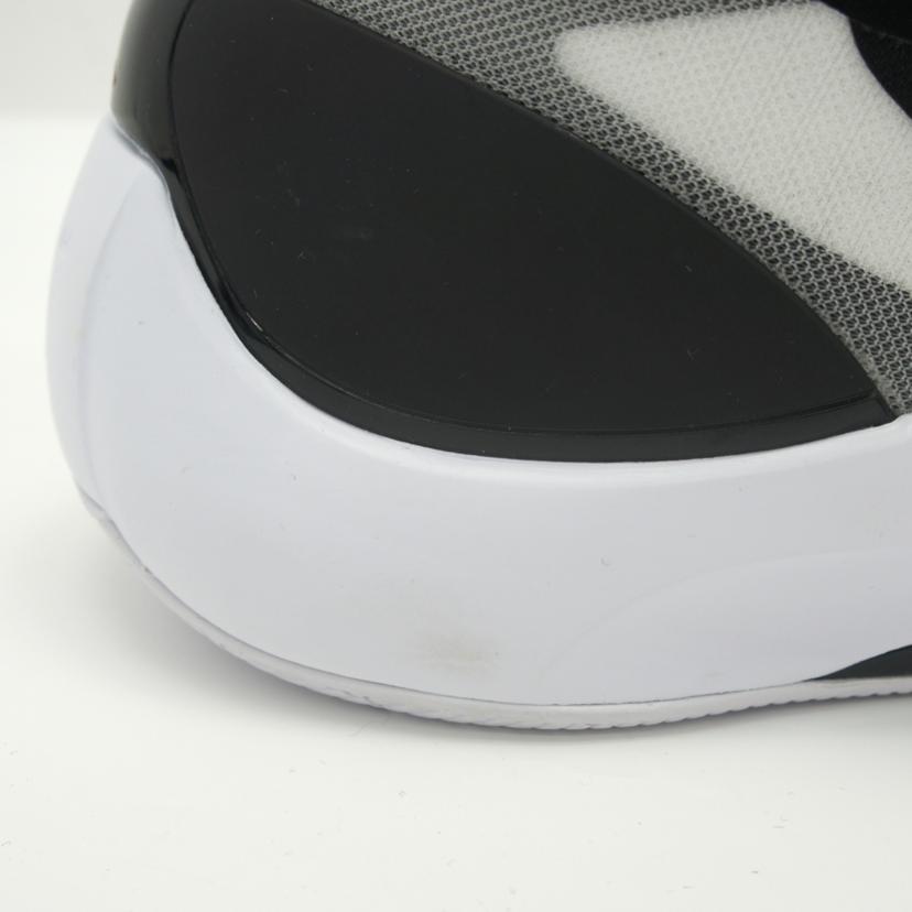 NIKE ナイキ/JORDAN　ZOOM　SEPARATE　PF/DH0248-001//Aランク/09
