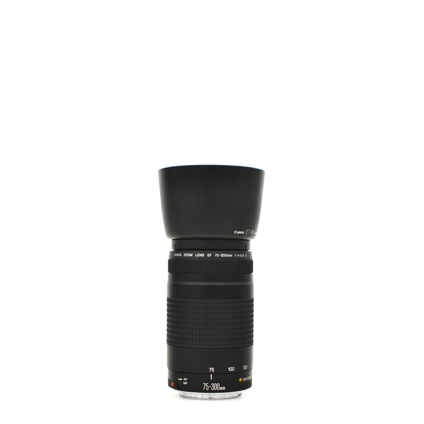 Canon/交換レンズ/EF75-300mm  Ⅱ//2513552/Bランク/75