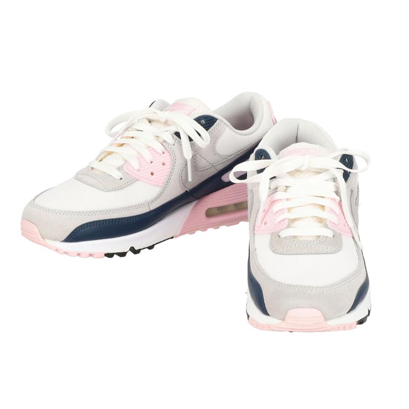 NIKE ナイキ/AIRMAX90　/DM0029-106//Aランク/09