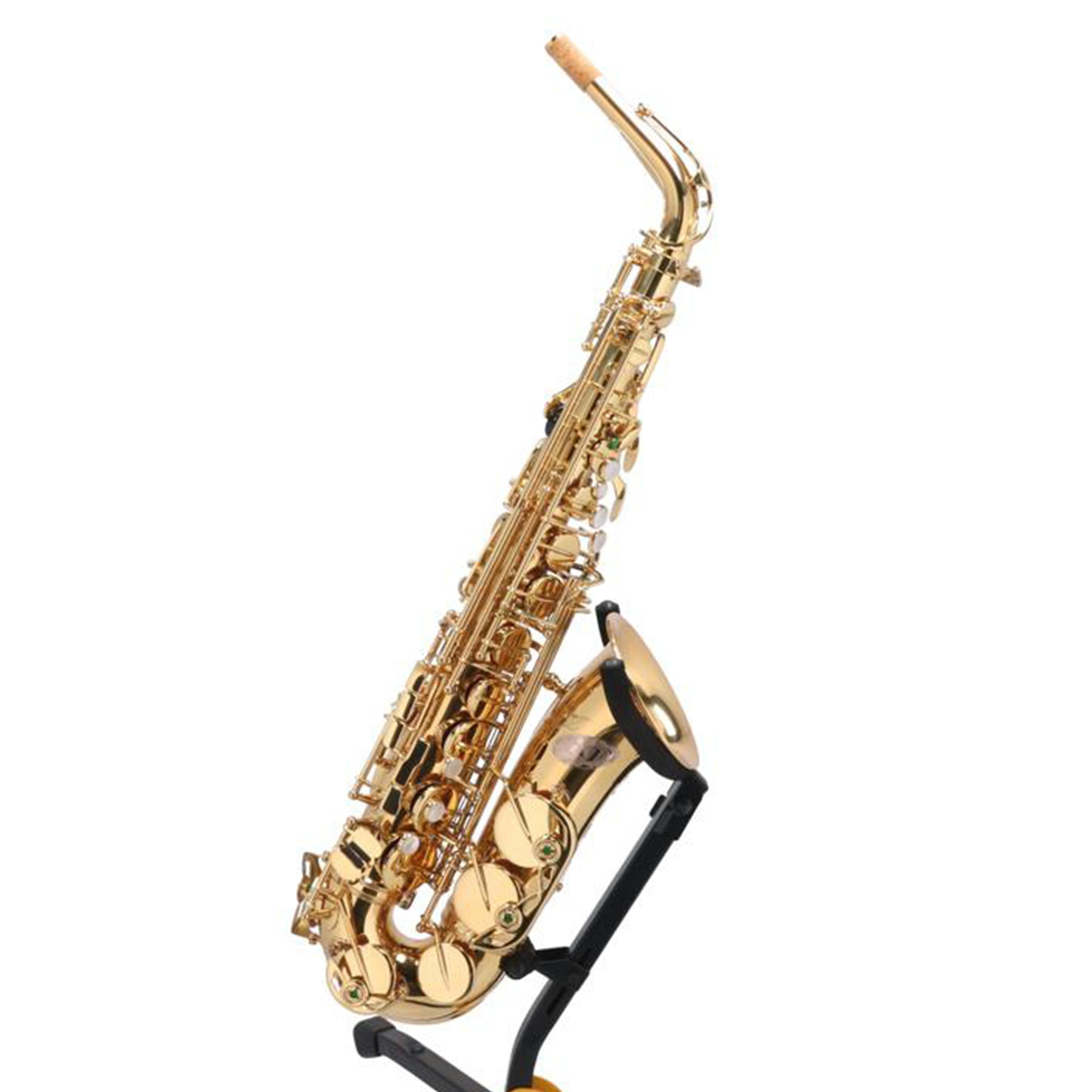 き⭐︎です♡新品REGINAジレ レジーナ | アイテム一覧 | サンフレッチェ広島公式オンラインストア