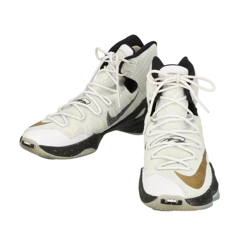 NIKE ナイキ/LEBRON　13　ELITE　GOLD/831923-170//Aランク/09